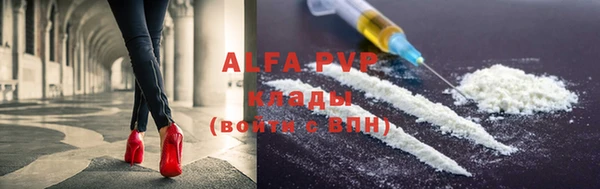 шишки Белокуриха