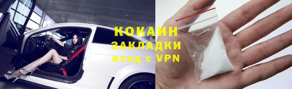 шишки Белокуриха