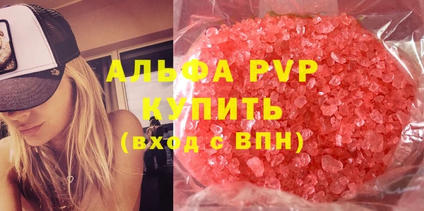 шишки Белокуриха