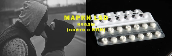 стаф Белоозёрский
