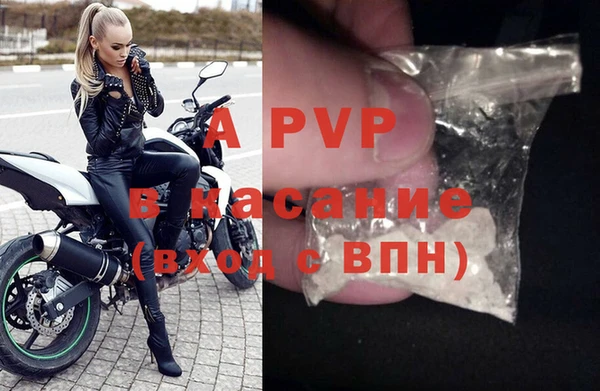 шишки Белокуриха