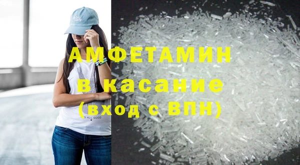 шишки Белокуриха