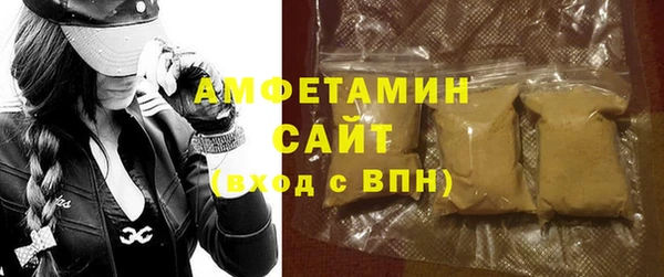 шишки Белокуриха