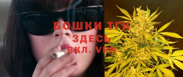 шишки Белокуриха