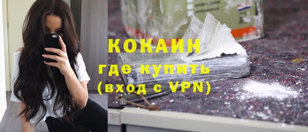 шишки Белокуриха